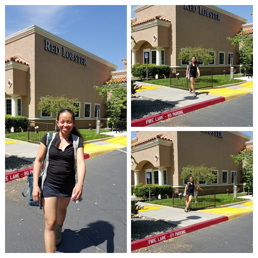Red Lobster image