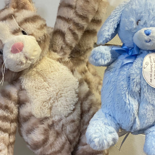 Toy Store «Boomerang Toy Store», reviews and photos, 1 N Forest Beach Dr # B1-4, Hilton Head Island, SC 29928, USA