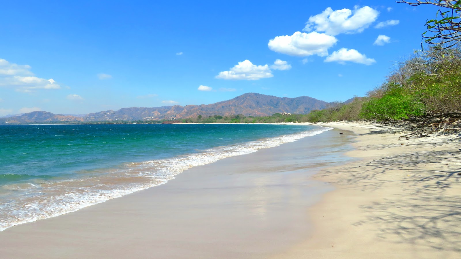 Conchal Beach'in fotoğrafı çok temiz temizlik seviyesi ile