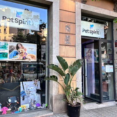 Pet Spirit - Servicios para mascota en Barcelona