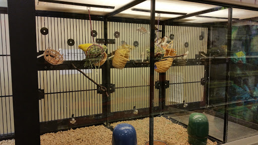 Pet Supply Store «PetSmart», reviews and photos, 47142 Michigan Ave, Canton, MI 48188, USA