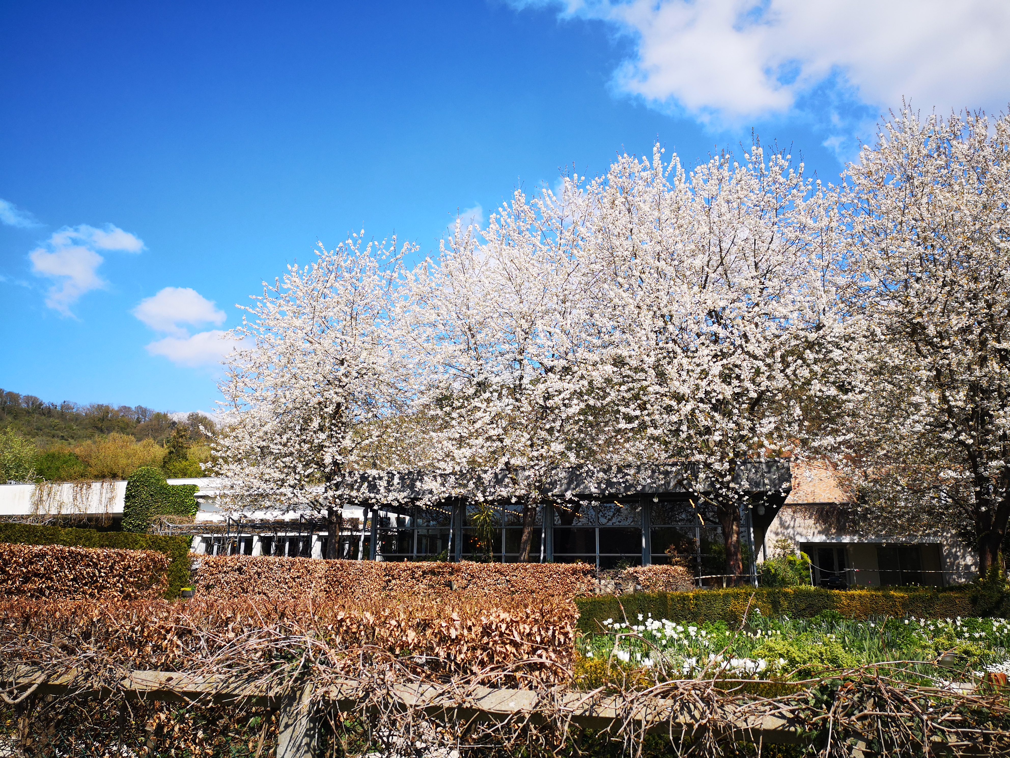 Photo n° 1 de l'avis de Romy.i fait le 13/04/2019 à 16:46