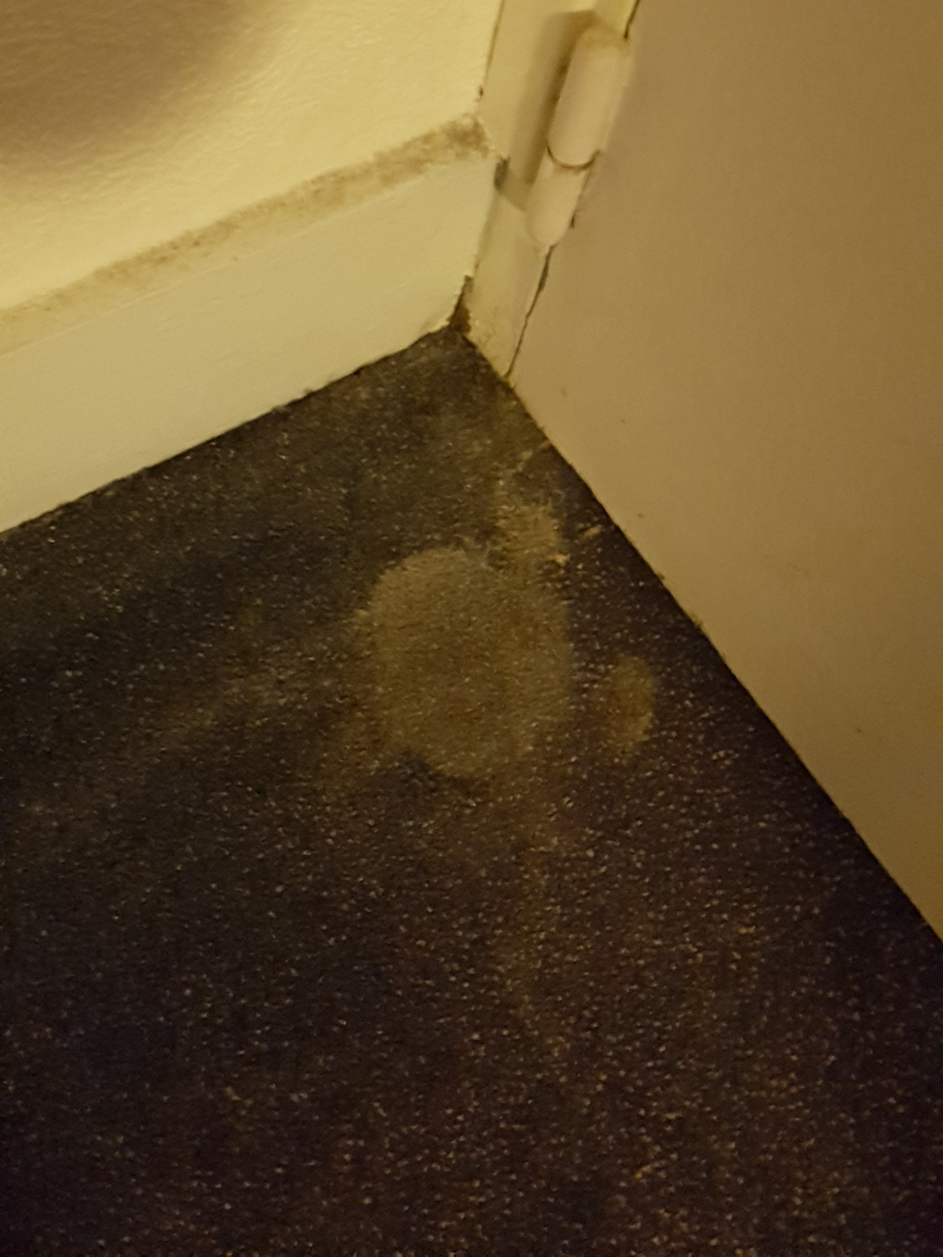 Photo n° 8 de l'avis de Vincent.N fait le 25/03/2018 à 20:27