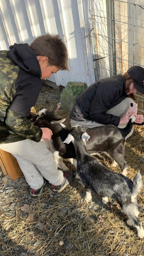 Grocery Store «Kreeky Tree Farm», reviews and photos, 8755 Jones Rd, Slatington, PA 18080, USA