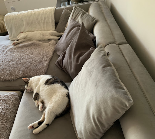 Pet Supply Store «PetSmart», reviews and photos, 220 Commerce Blvd, Fairless Hills, PA 19030, USA