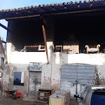 Photo n°1 de l'avis de Iolanda.o fait le 16/12/2023 à 17:52 sur le  Santoro Arcangelo à Buccinasco