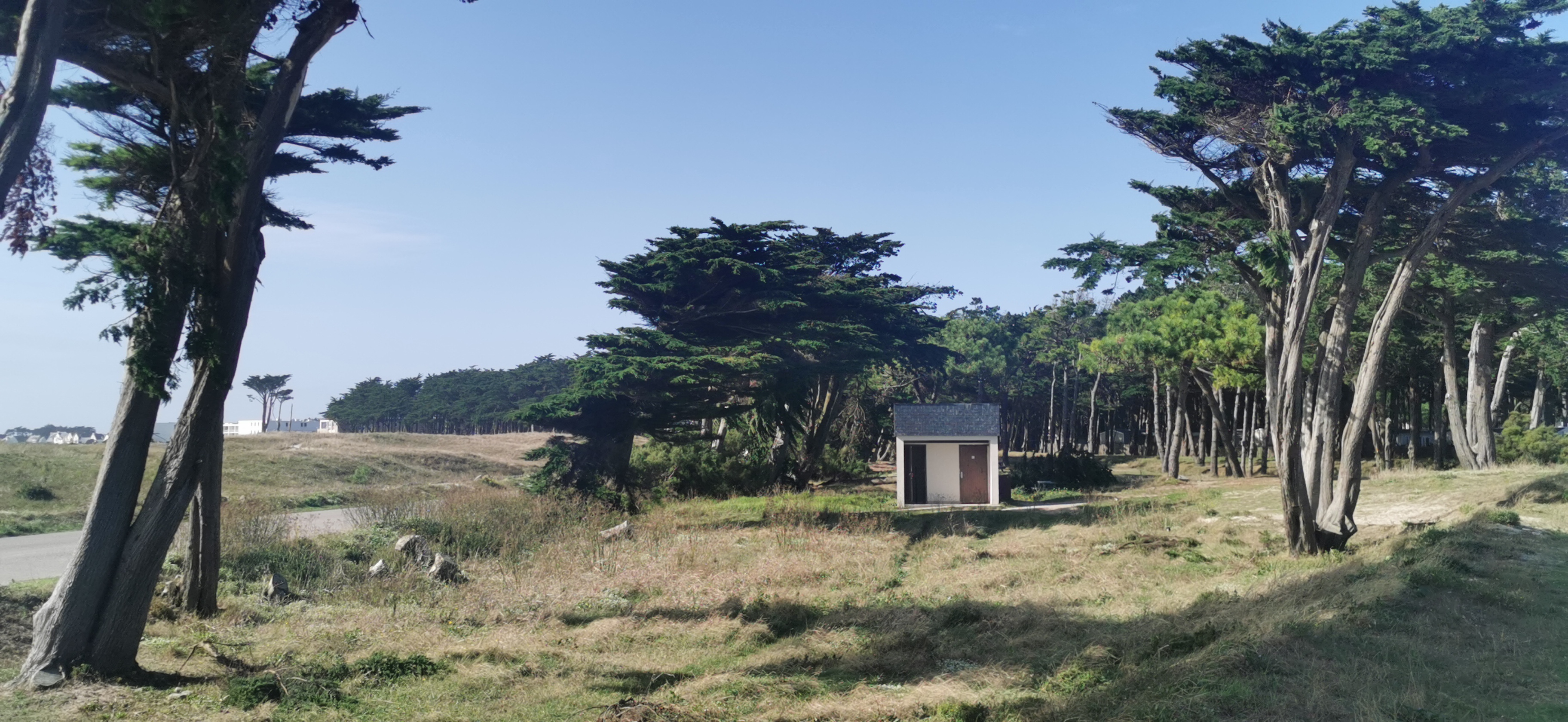 Photo n° 30 de l'avis de Didier.a fait le 08/10/2020 à 16:06