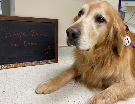 Liberty Veterinary Hospital image