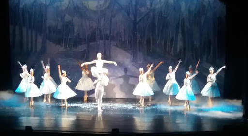 Performing Arts Theater «The Union County Performing Arts Center», reviews and photos, 1601 Irving St, Rahway, NJ 07065, USA