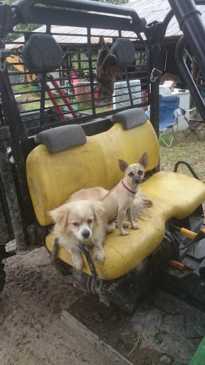 Four Wheeling Funny Farm