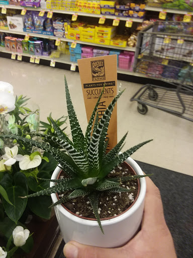 Albertsons image