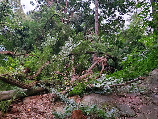 Park «Seton Falls Park», reviews and photos, E 233rd St, Bronx, NY 10466, USA