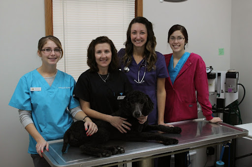 Dr. Jennifer Arneson DVM image