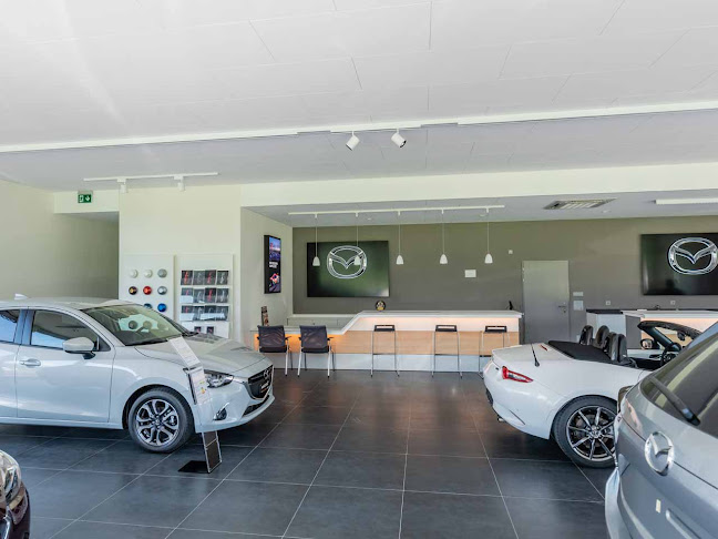 Rezensionen über Garage & Carosserie Bienz AG in Sarnen - Autohändler