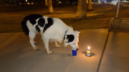 Park «Sahuaro Ranch Park», reviews and photos, 9802 N 59th Ave, Glendale, AZ 85302, USA