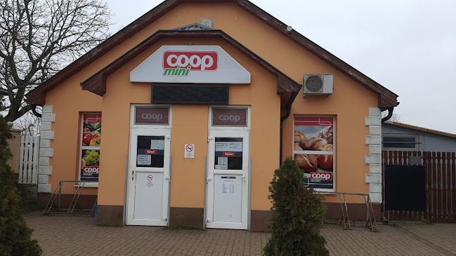 Hajdú Coop Zrt.