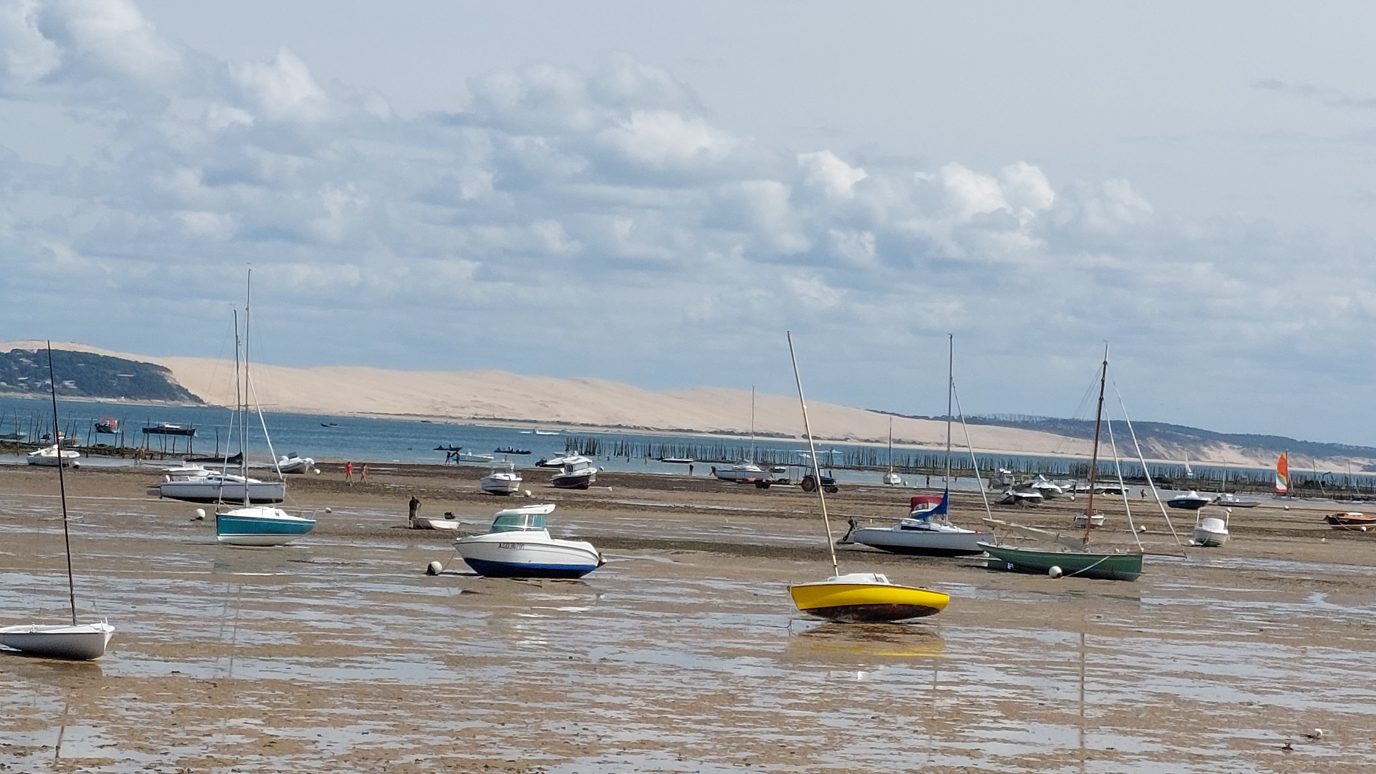 Photo n° 6 de l'avis de N.scott. fait le 27/07/2023 à 17:07