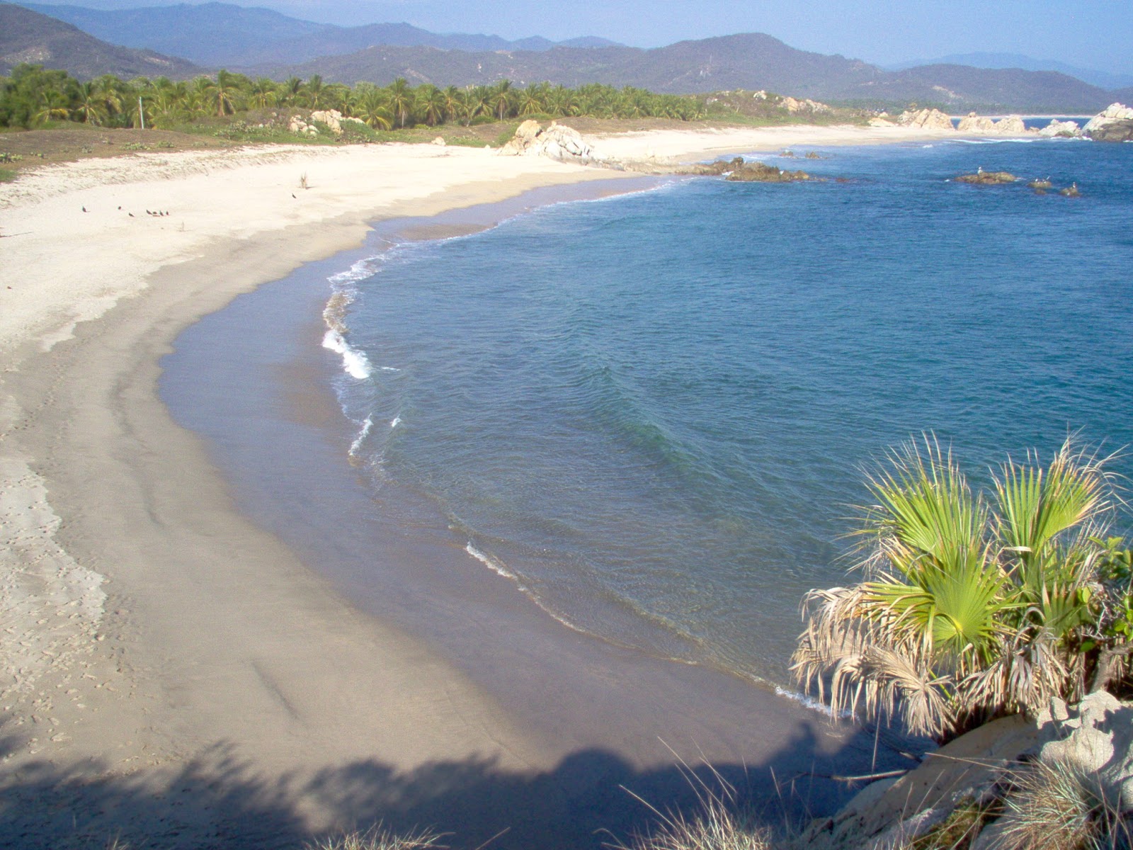 Photo de Playa del sur avec sable lumineux de surface