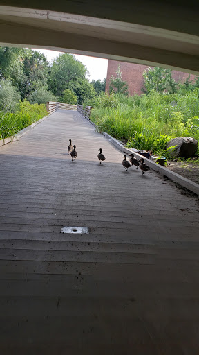 Museum «Charles River Museum of Industry & Innovation», reviews and photos, 154 Moody St, Waltham, MA 02453, USA