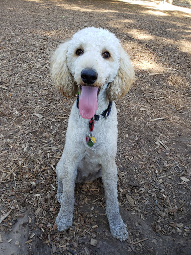 Park «Wallace City Park», reviews and photos, 1600 NW 25th Ave, Portland, OR 97210, USA