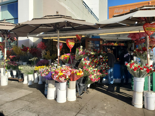 Florist «Ever Bloom Fresh Flowers», reviews and photos, 508 University Ave, San Diego, CA 92103, USA