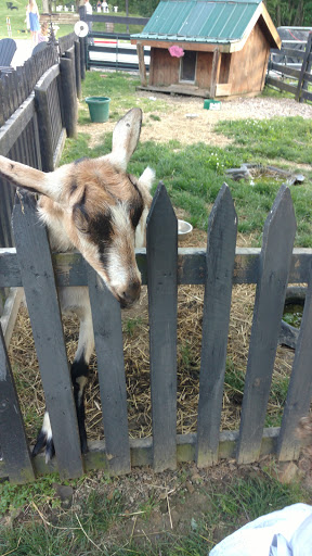 Event Venue «Rivercrest Farm», reviews and photos, 6612 Boy Scout Rd NE, Dover, OH 44622, USA