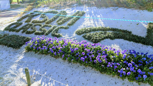 Private Golf Course «Sea Island Golf Course», reviews and photos, 100 Retreat Avenue, Saint Simons Island, GA 31522, USA