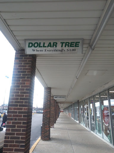 Dollar Store «Dollar Tree», reviews and photos, 8766 W Dempster St, Niles, IL 60714, USA