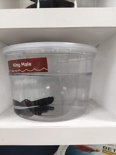 Pet Supply Store «Petco Animal Supplies», reviews and photos, 32391 Camino Capistrano a, San Juan Capistrano, CA 92675, USA