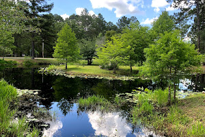 Okefenokee Swamp Park