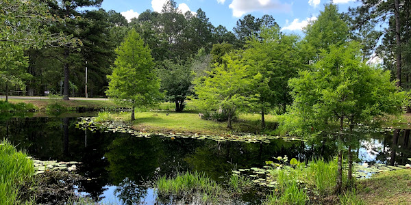 Okefenokee Swamp Park