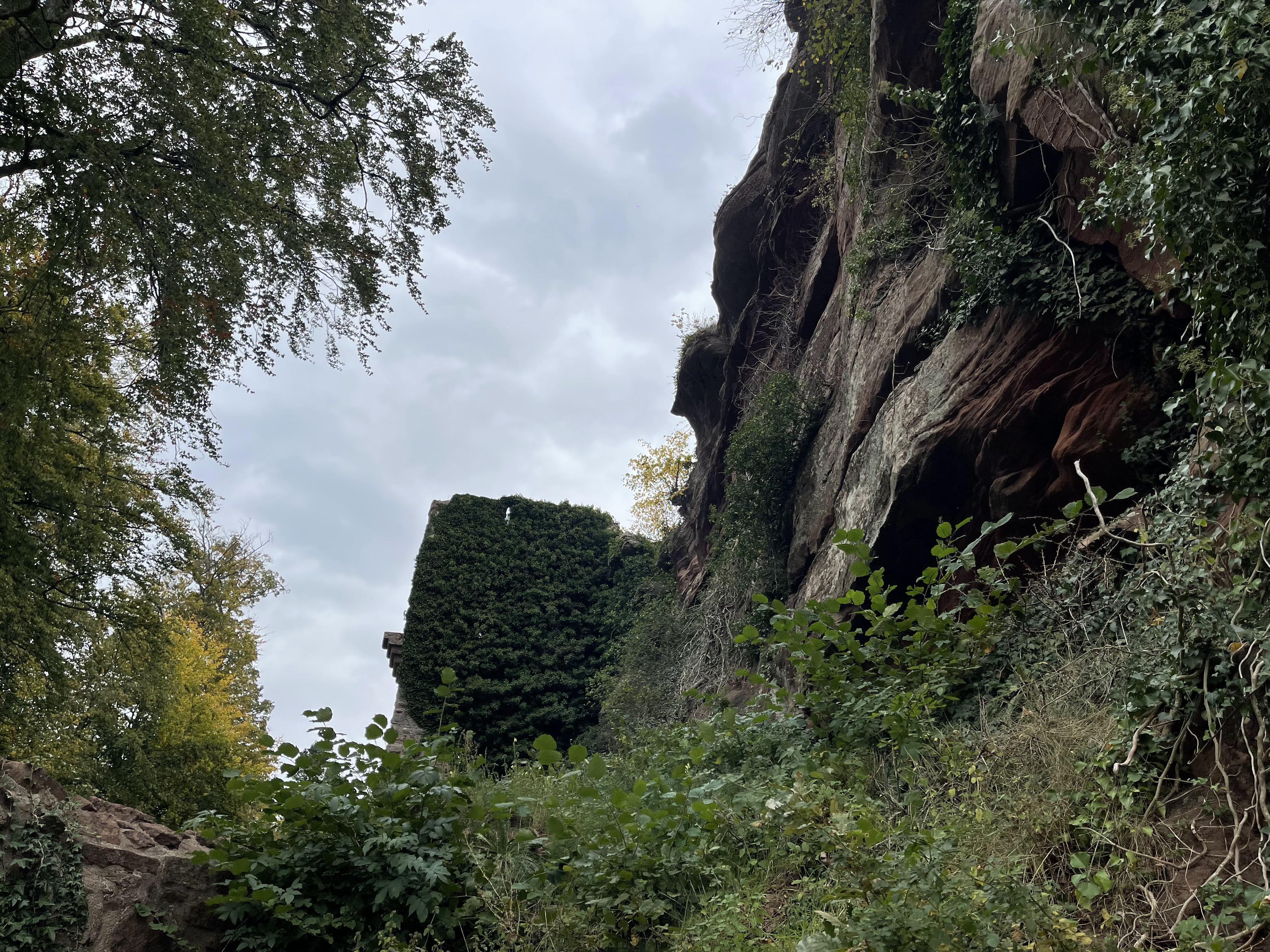 Photo n° 1 de l'avis de Hans.o fait le 12/10/2023 à 13:54