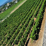 Photo n°4 de l'avis de Marilene.a fait le 01/08/2023 à 13:38 sur le  Quinta do Portal à Celeirós