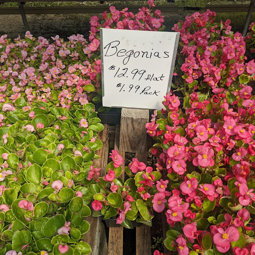 Wholesale Plant Nursery «Garden Fantasy», reviews and photos, 43250 Tyler Rd, Belleville, MI 48111, USA