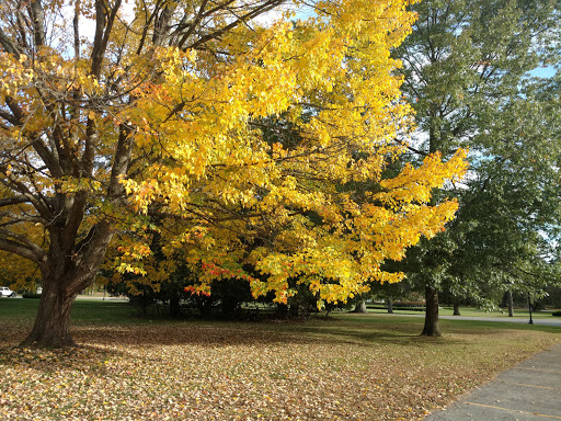 Museum «NATIONAL MUSEUM OF DANCE», reviews and photos, 99 S Broadway, Saratoga Springs, NY 12866, USA