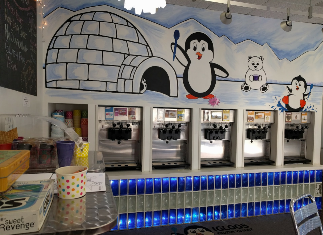 Igloo Frozen Yogurt and Treats