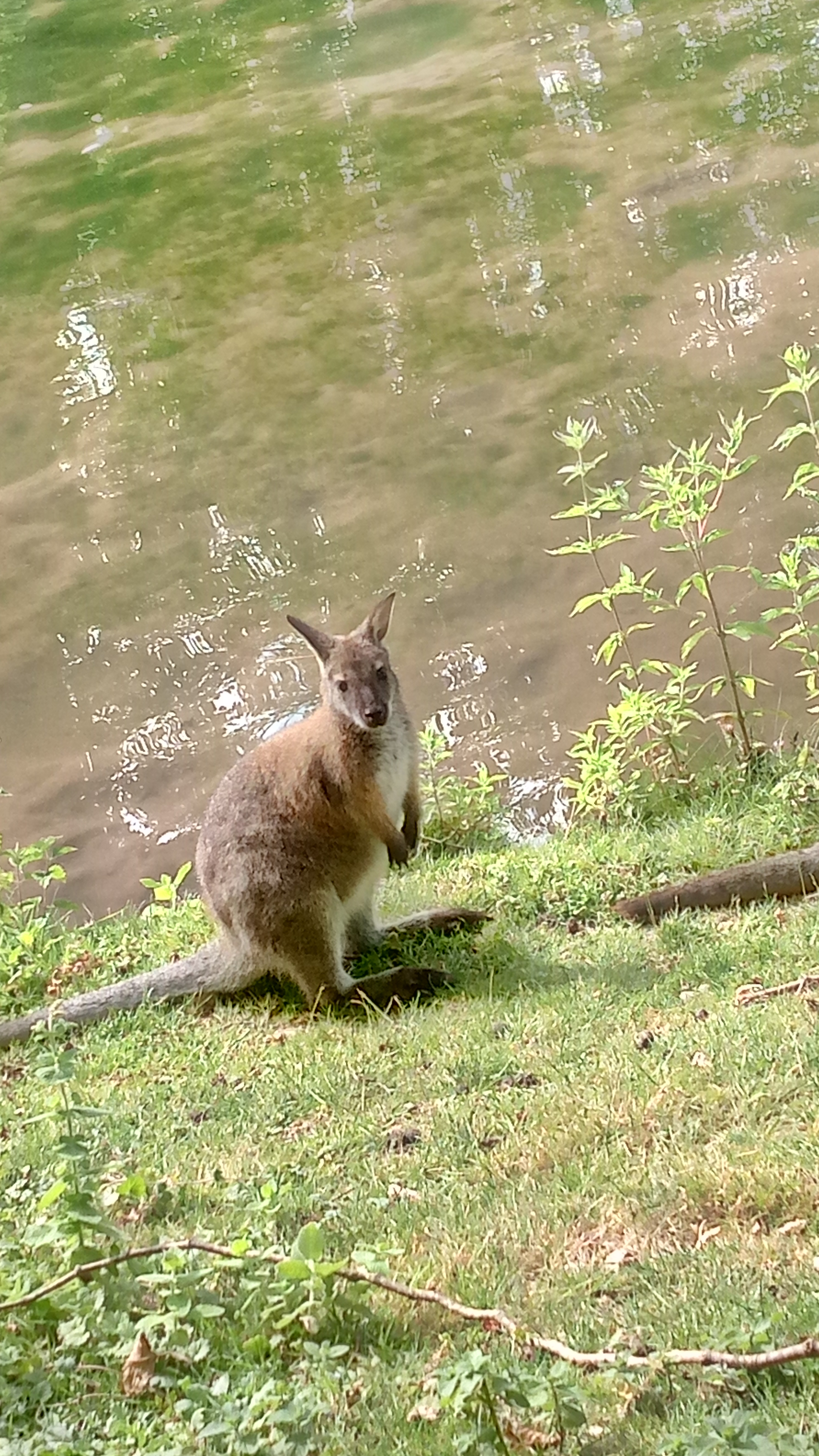 Photo n° 7 de l'avis de patrice.a fait le 12/07/2019 à 07:54
