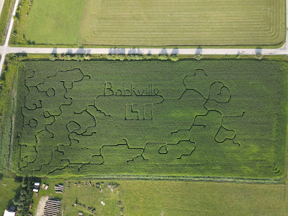 Bower Family Corn Maze