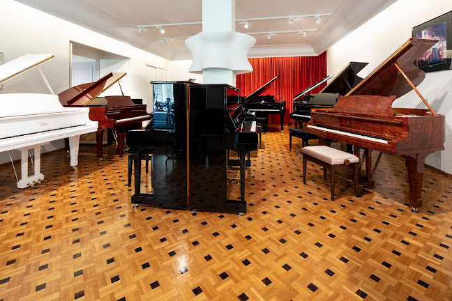 Rezensionen über Steinway Piano Gallery Geneva in Genf - Musikgeschäft