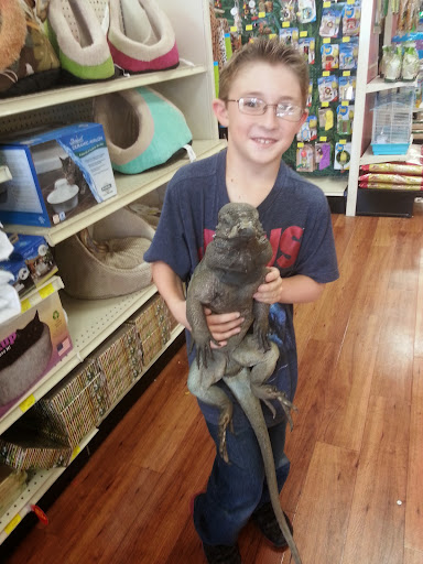 Pet Supply Store «Pet Supermarket», reviews and photos, 2924 13th St, St Cloud, FL 34769, USA