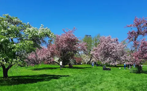 Friends of Central Experimental Farm - Volunteer Group image