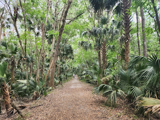 Black Bear Wilderness Trailhead