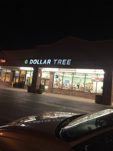 Dollar Store «Dollar Tree», reviews and photos, 2888 Dekalb Pike, Norristown, PA 19401, USA