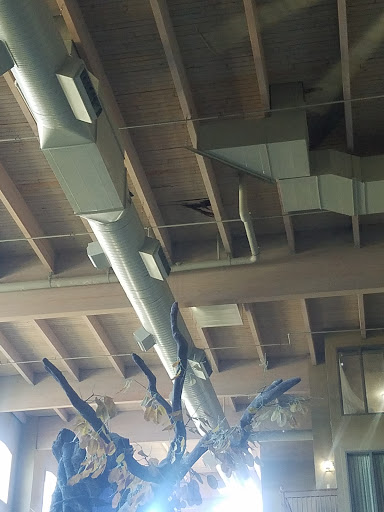 Water Park «Crawdaddy Cove Indoor Water Park», reviews and photos, 1109 Fourier Dr, Madison, WI 53717, USA