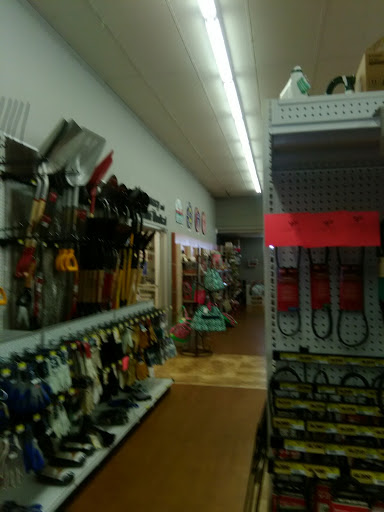Hardware Store «Buford Street Ace Hardware», reviews and photos, 113 W Buford St, Gaffney, SC 29340, USA