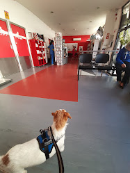 Clínica Veterinária de Alverca