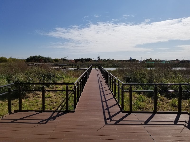 厚別山本公園 ビオトープ