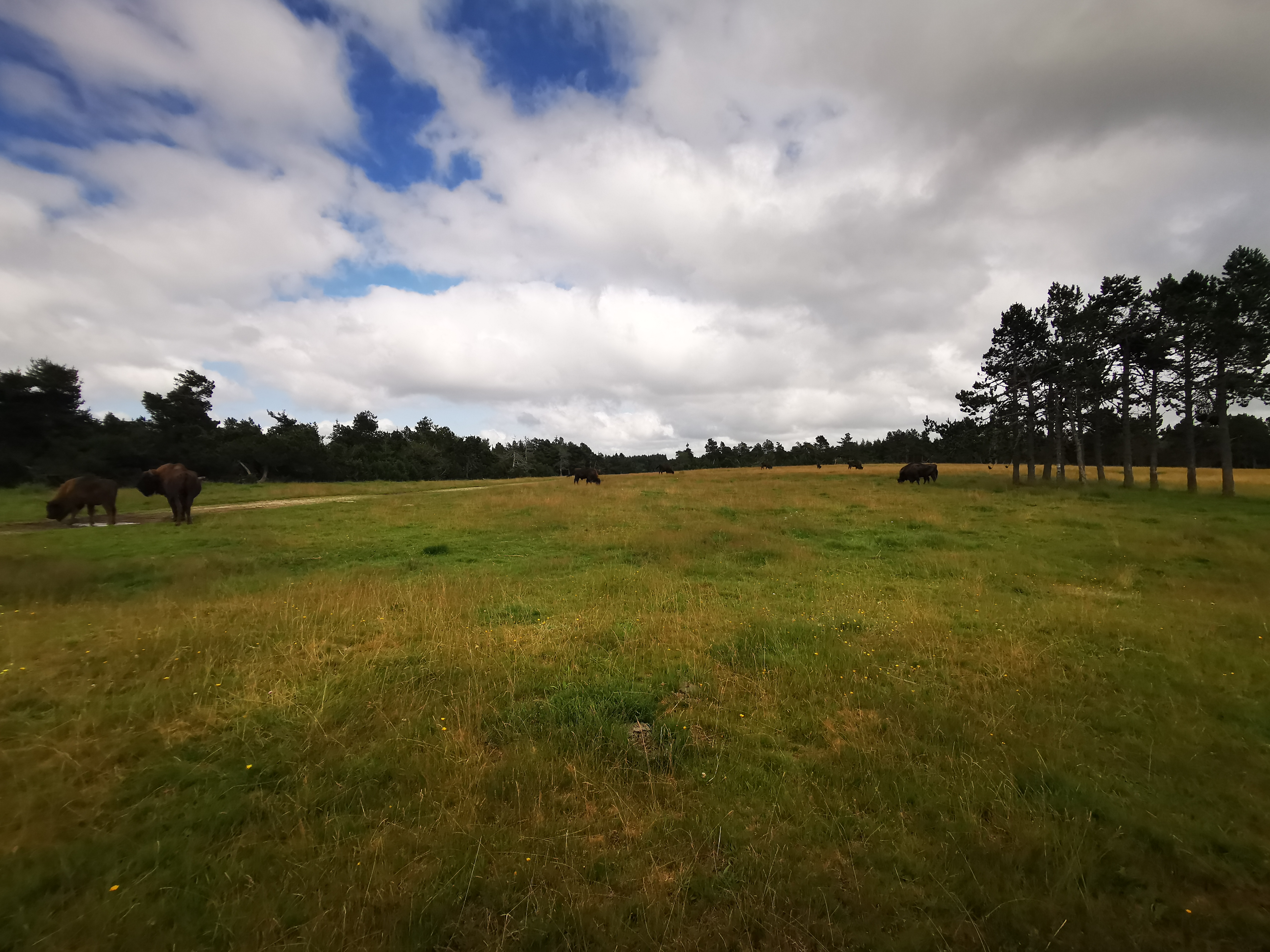 Photo n° 2 de l'avis de Jean-Philippe.o fait le 30/07/2021 à 17:10