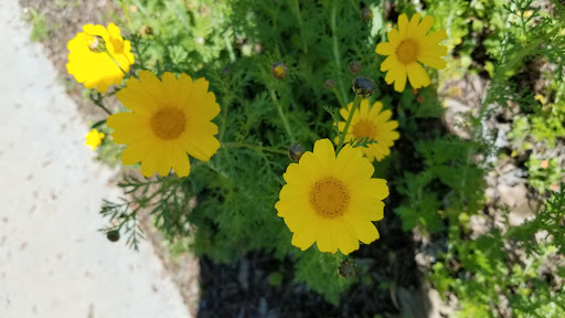 History Museum «Olinda Oil Museum & Trail», reviews and photos, 4025 E Santa Fe Rd, Brea, CA 92823, USA