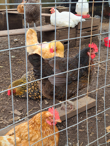 Produce Market «Highland Orchards Farm Market», reviews and photos, 1431 Foulk Rd, Wilmington, DE 19803, USA